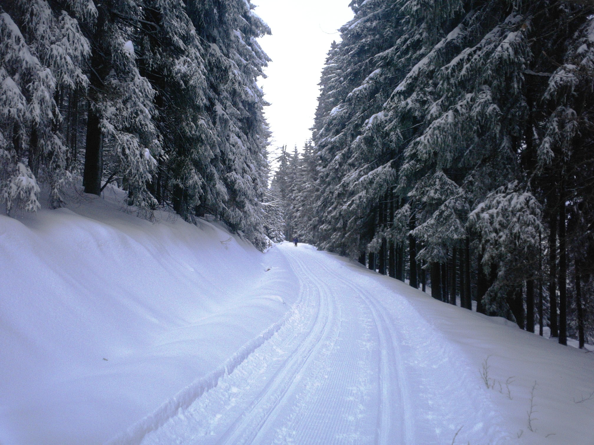 Kladská-14.1.12-1