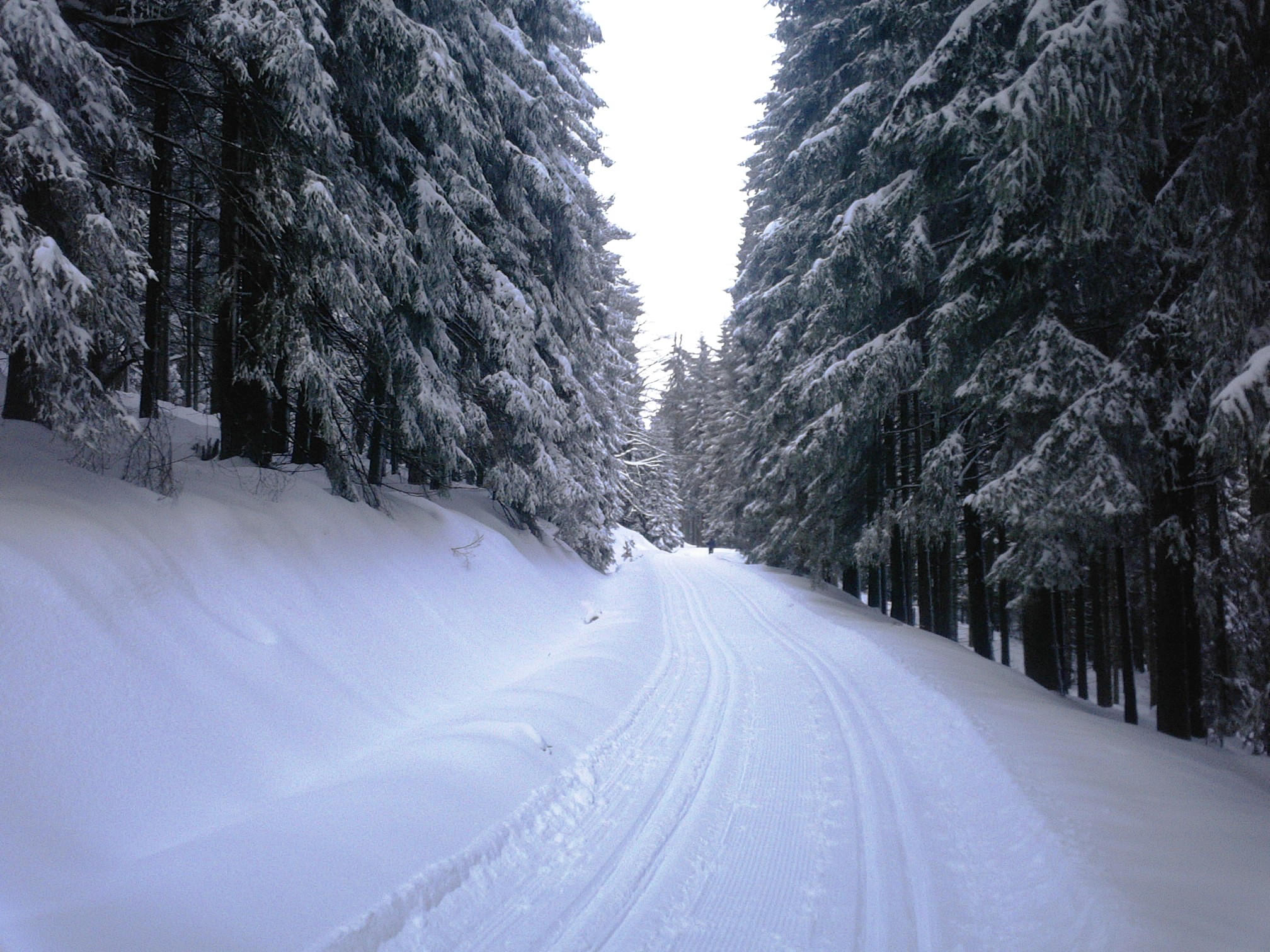 Kladská-14.1.12-2