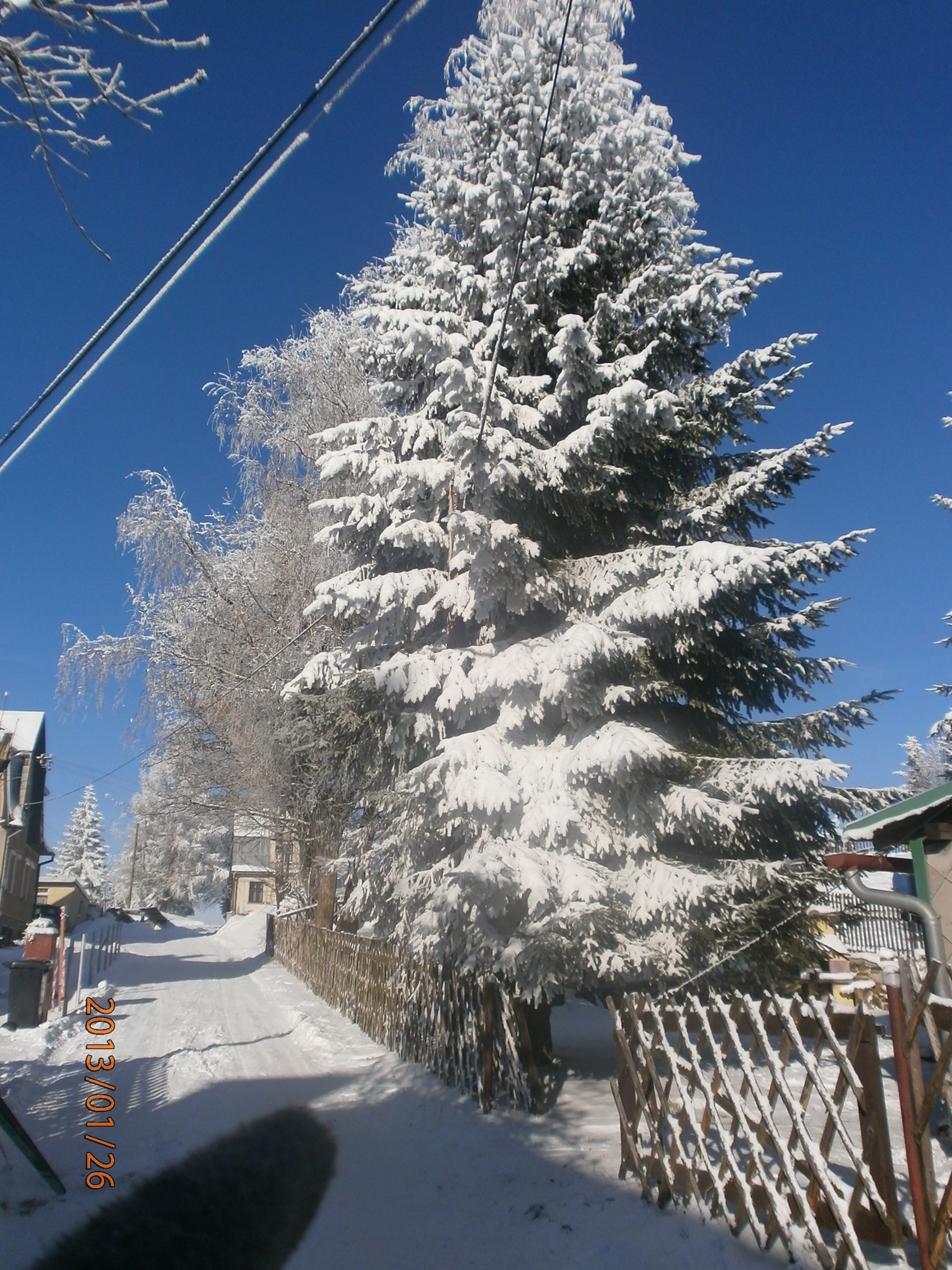 P1260045